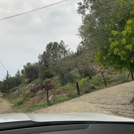 Idyllic *